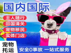 昆明机场货运国际宠物托运 【国